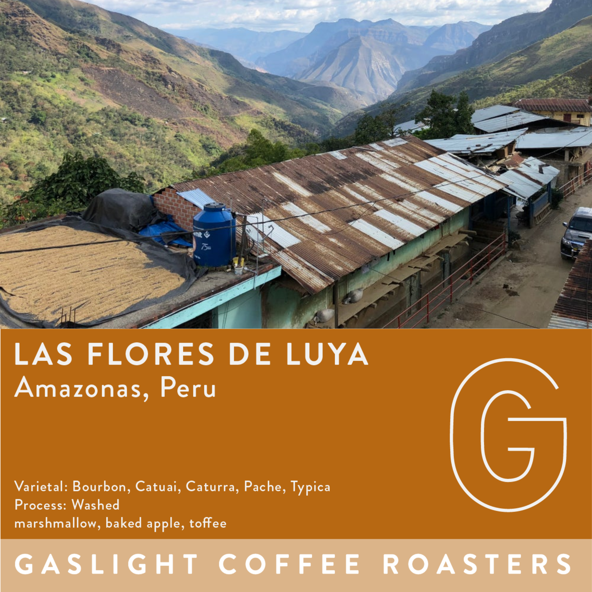 Peru | Las Flores de Luya – Gaslight Coffee Roasters